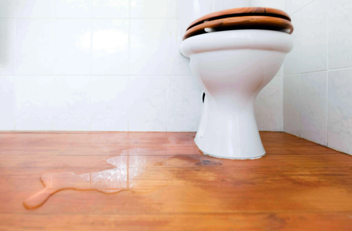 Read more about the article How to Fix a Leaking Toilet: A Comprehensive Guide by Franklin Plumbing